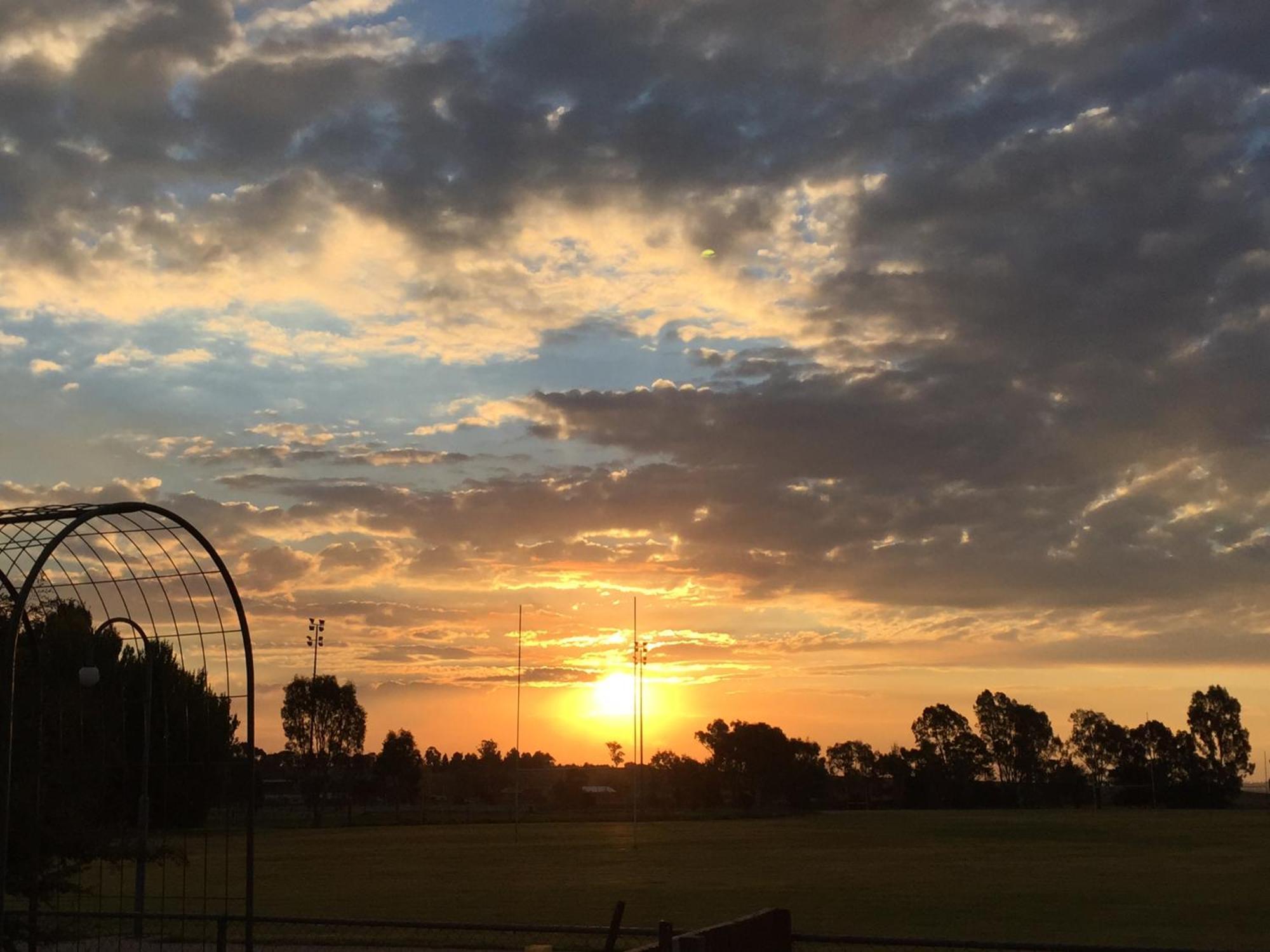 Junee Tourist Park المظهر الخارجي الصورة