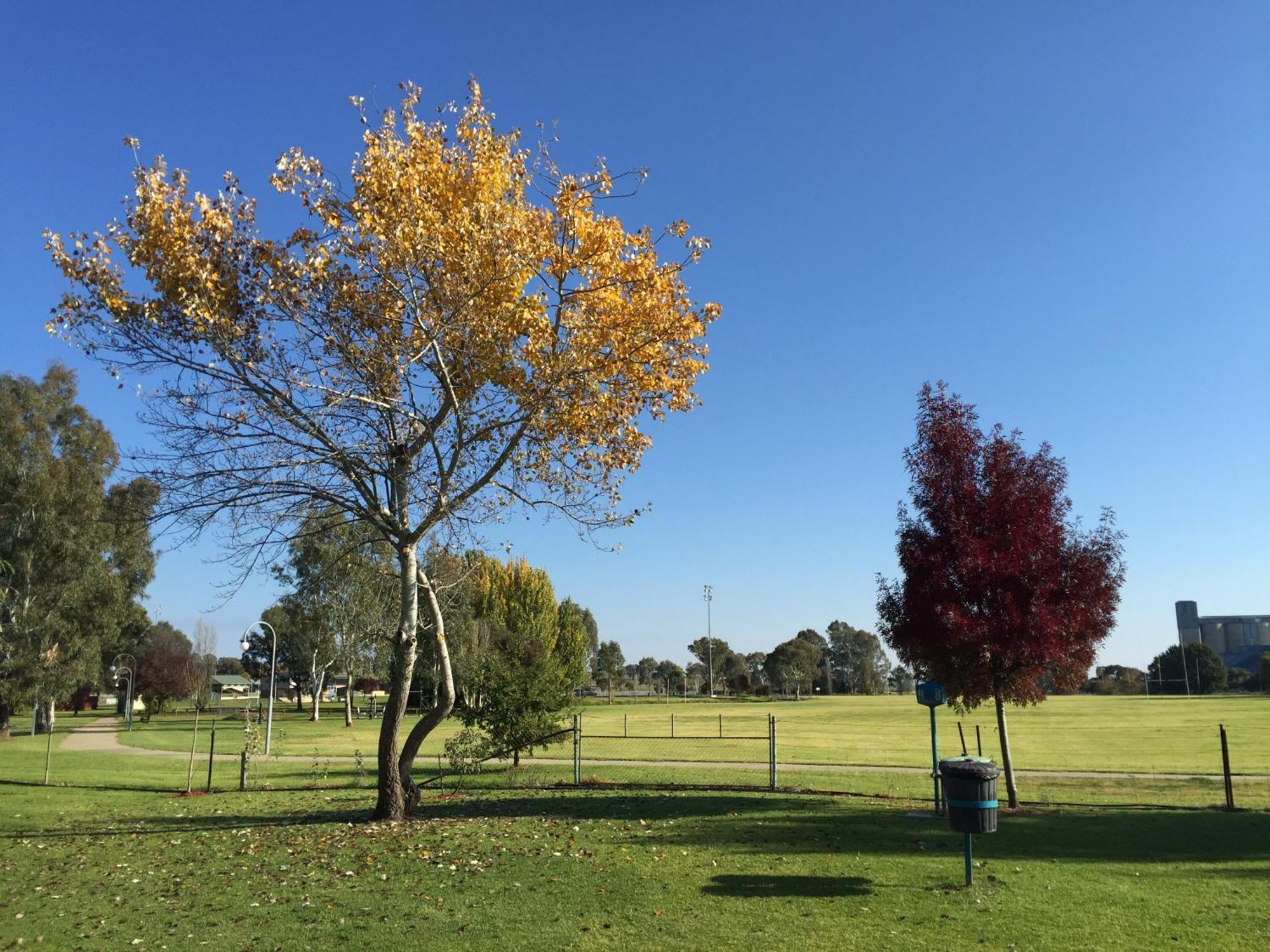 Junee Tourist Park المظهر الخارجي الصورة