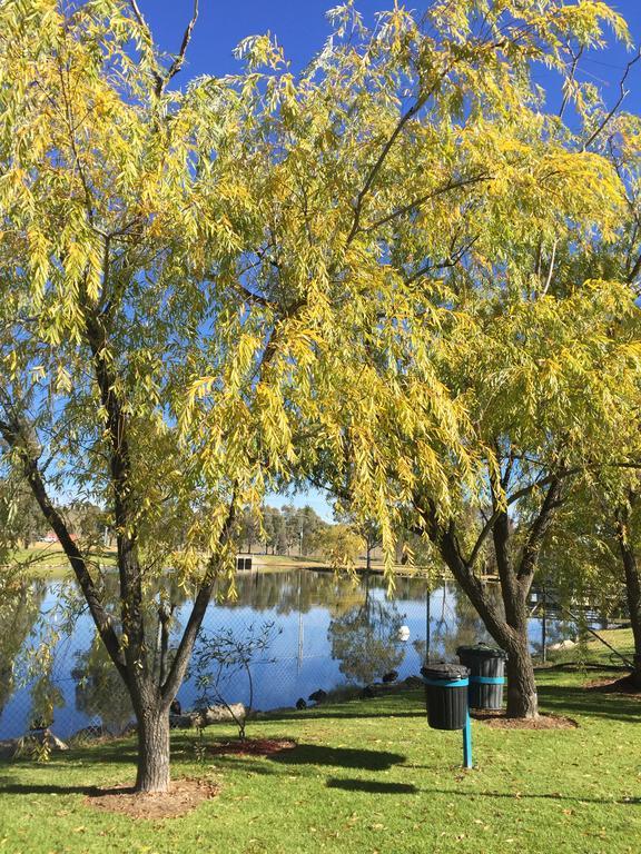 Junee Tourist Park المظهر الخارجي الصورة